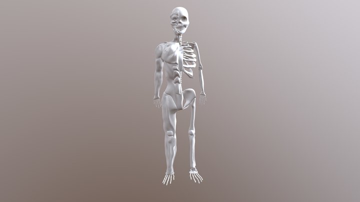 Skeleton PRJ 3D Model