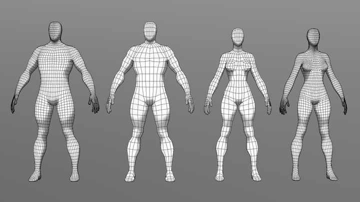 Basemesh 2019.2 3D Model