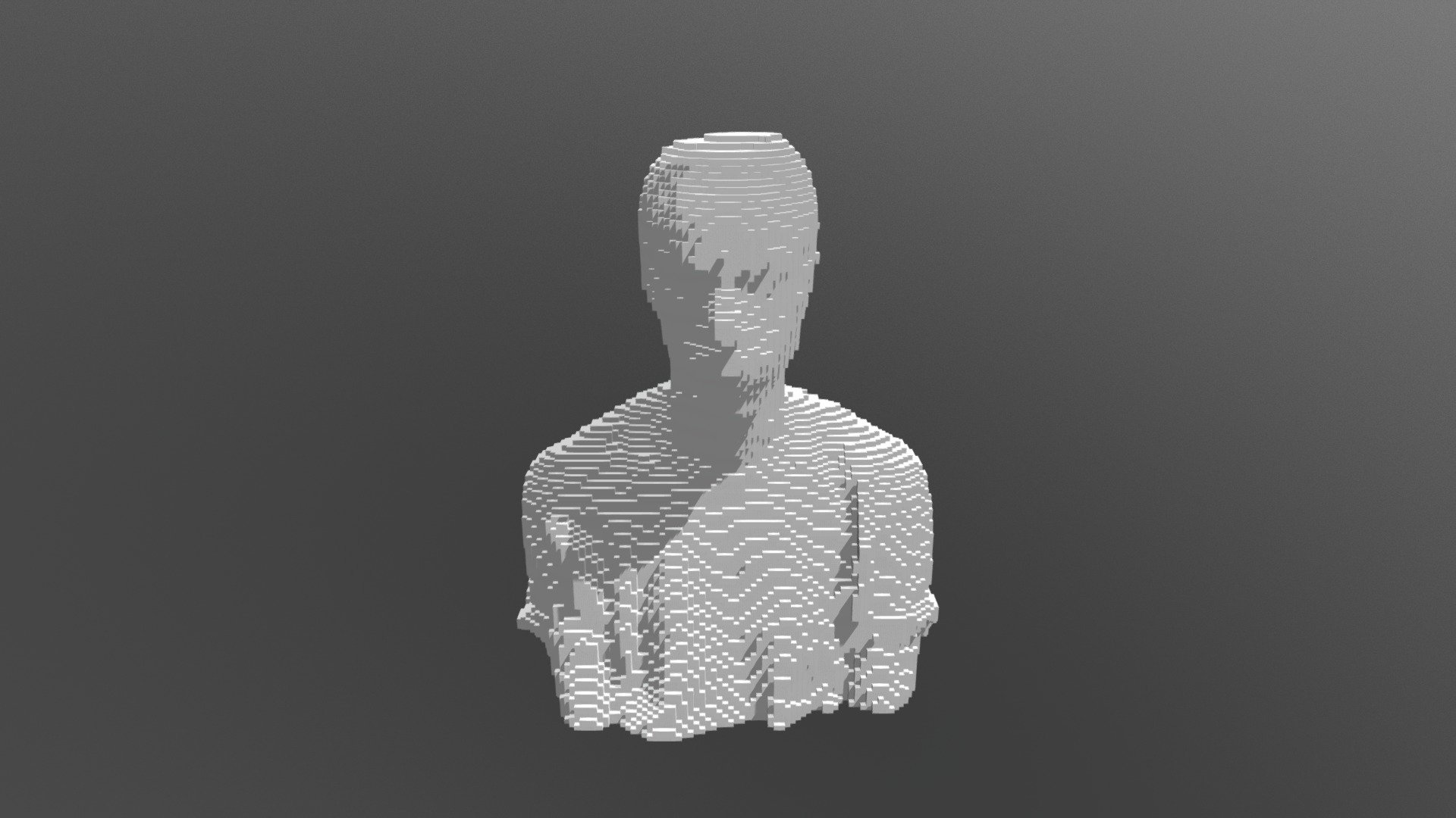 Minecraft MVC Model Scan 3D Test Voxel 100Blocks
