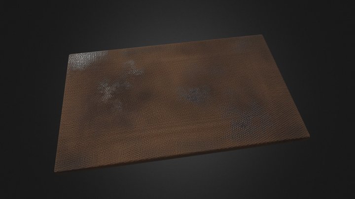 Door Mat 2 3D Model