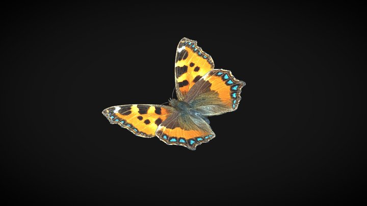Butterfly Block Strike - Download Free 3D model by dchel12 (@dchel12)  [64d51a8]