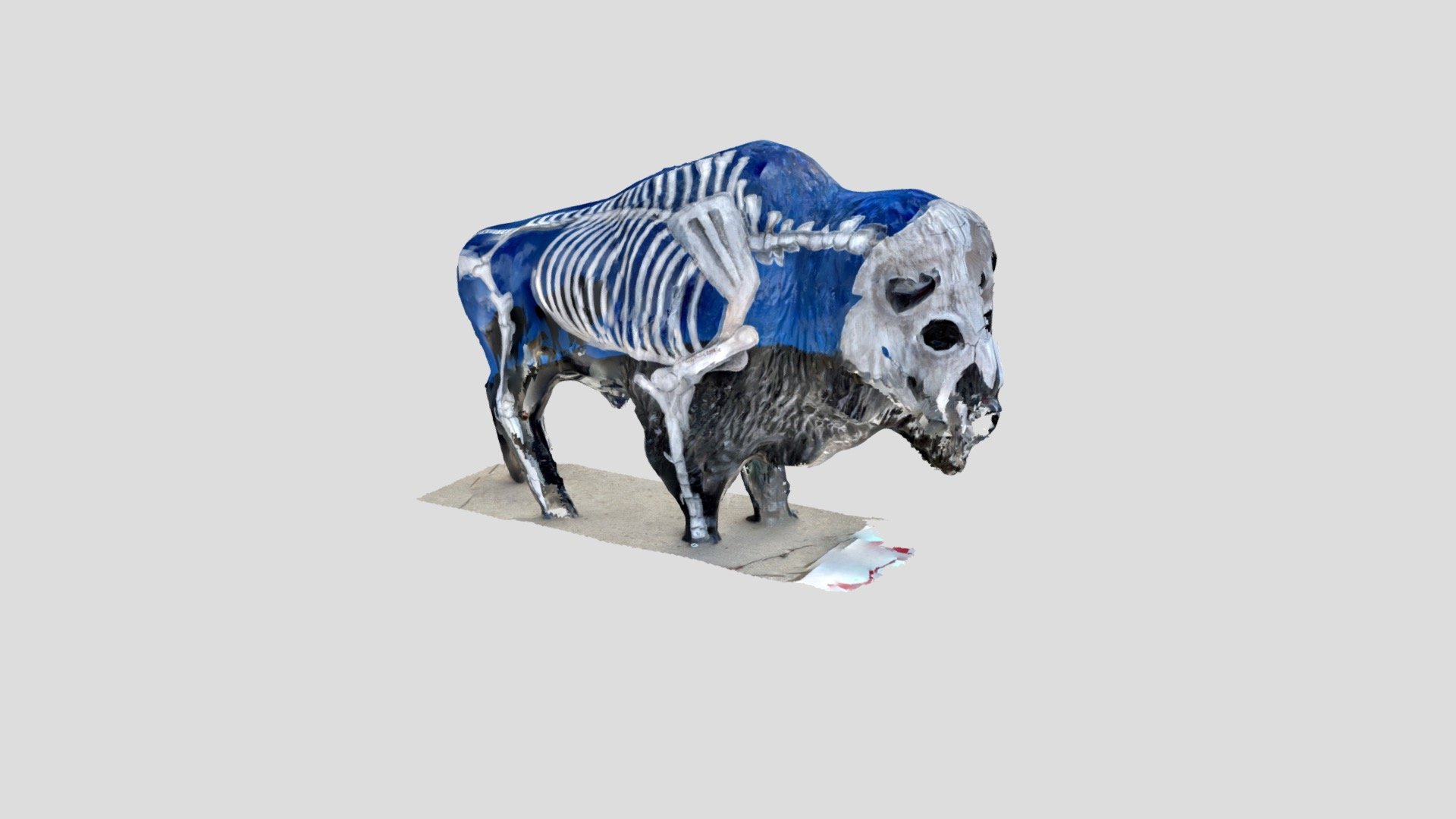 Hill City buffalo