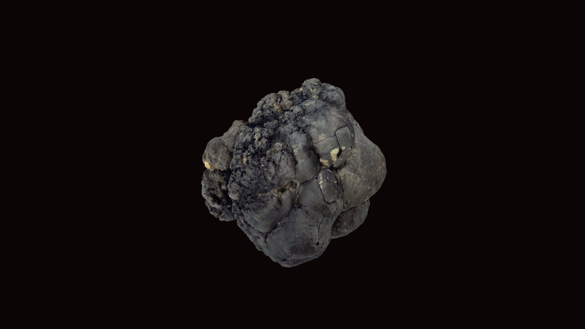 Manganese / Polymetallic Nodule - 3D model by SOSA - Senckenberg Ocean ...