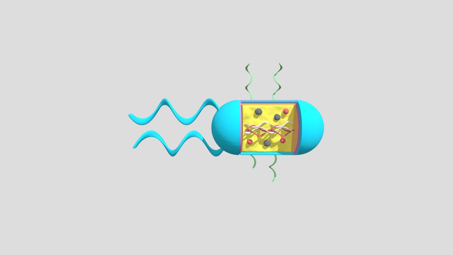 microughs_clostridiumtetani_EARHAMPKERL