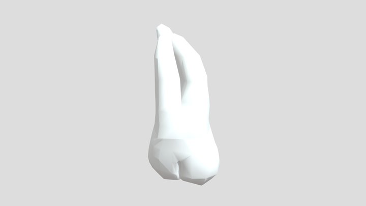 tooth1 3D Model