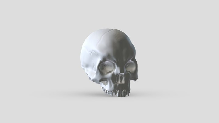 Zbrush Skull 3D Model
