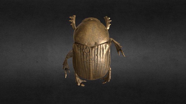 Dung Beetle medium res 3D Model