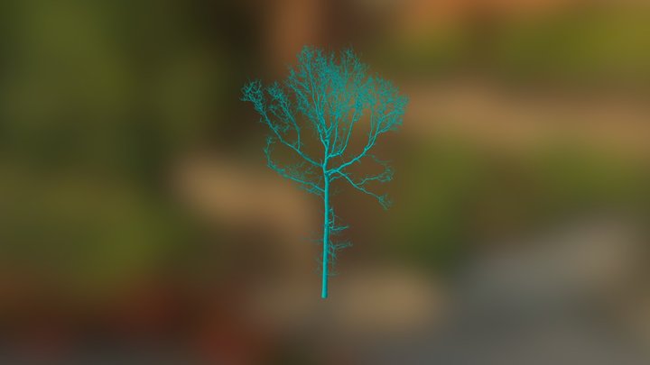 Straits / Oak 4 3D Model