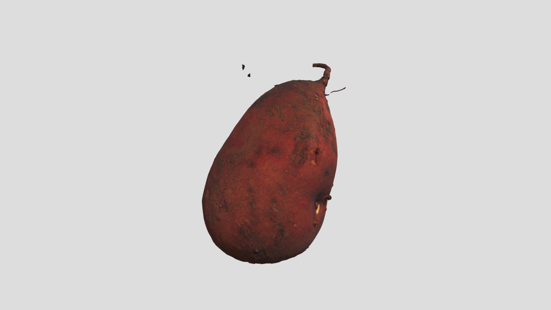 Photogrammetry Sweet Potato Model