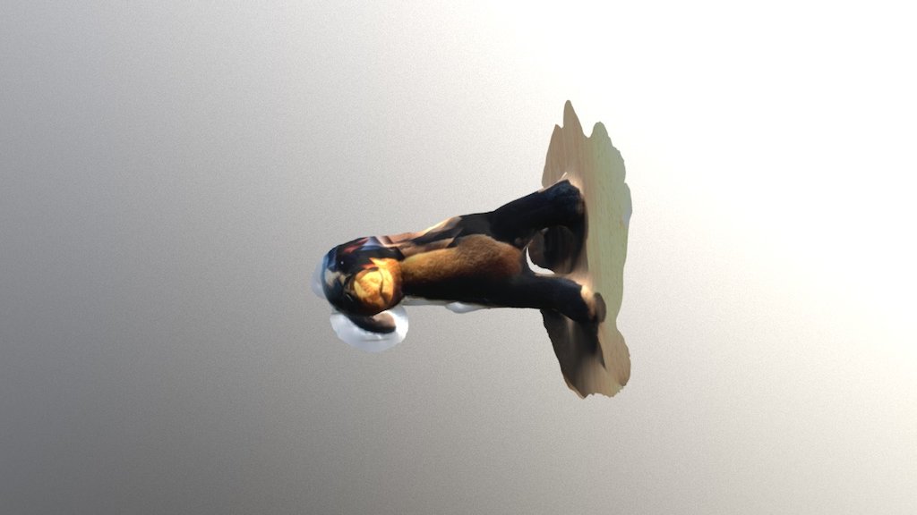 A TRNIO Model