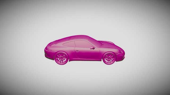 991 3D Model