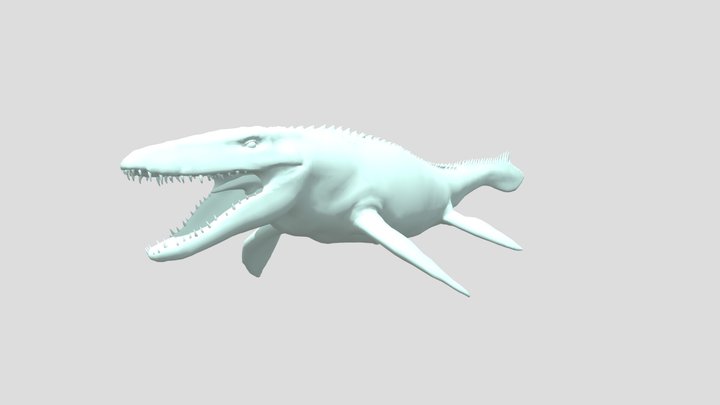 Mosasaurus 3D Model