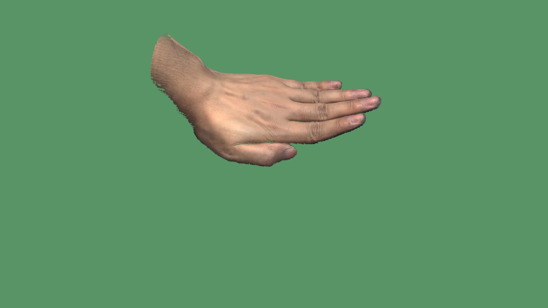 Hand - Download Free 3D model by Nancy\/Lanzi Luo (@Thunk3D-Nancy ...