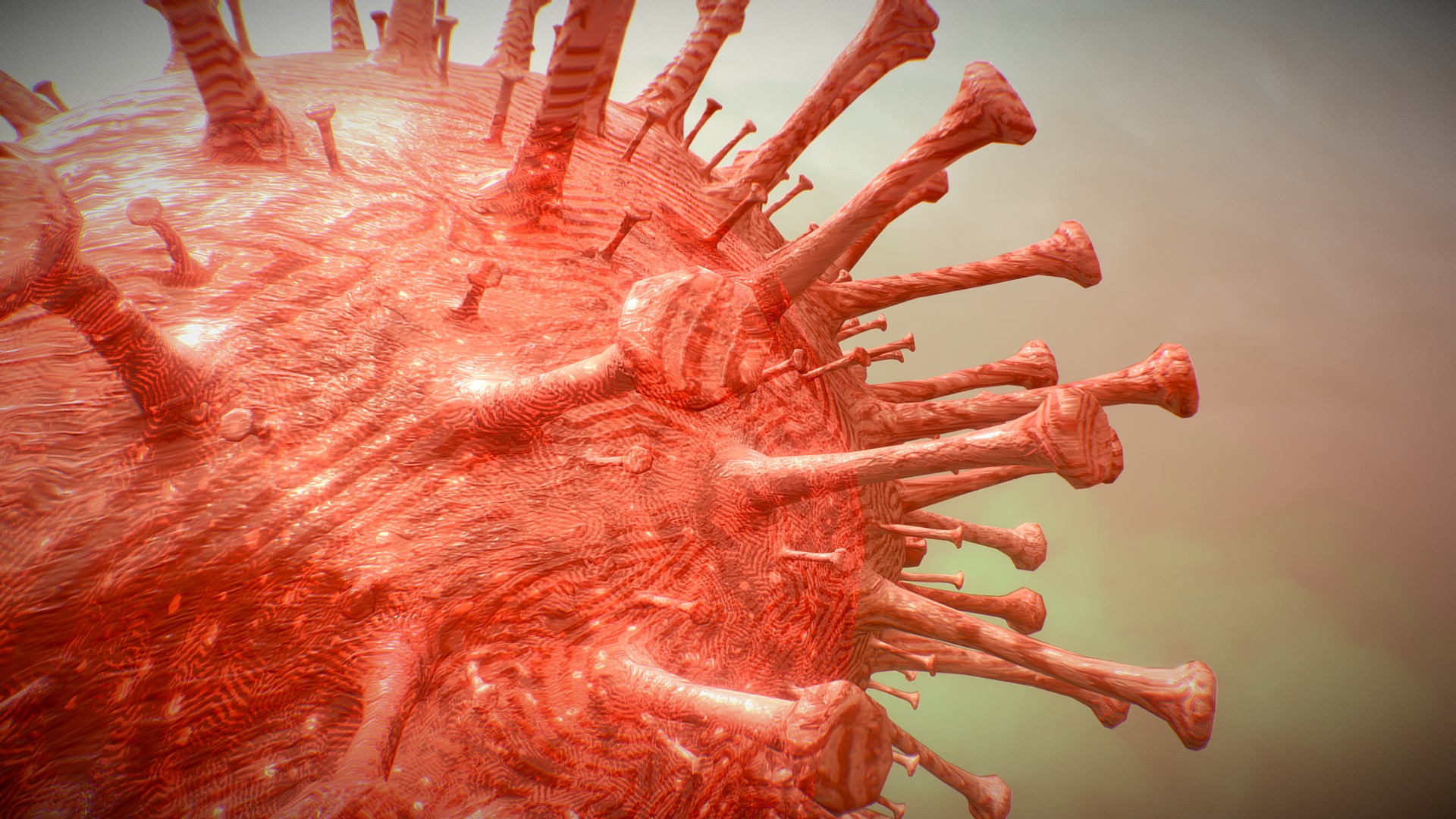 3D model Corona Virus animated COVID-19 PBR 4K texures - This is a 3D model of the Corona Virus animated COVID-19 PBR 4K texures. The 3D model is about a close-up of a red crab.