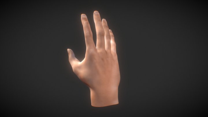 Human Male Hand - base mesh 3D Model