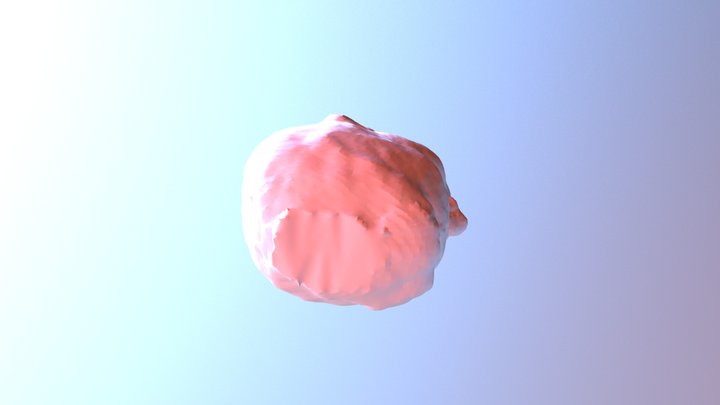 Mohamed 1 3D Model