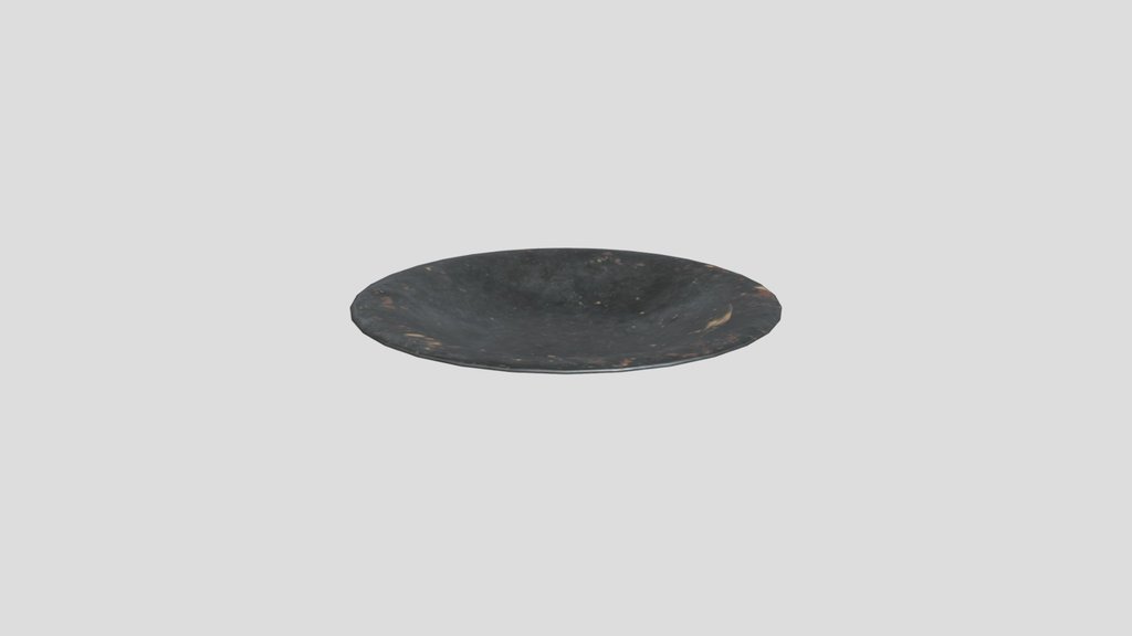 Pewter Plate