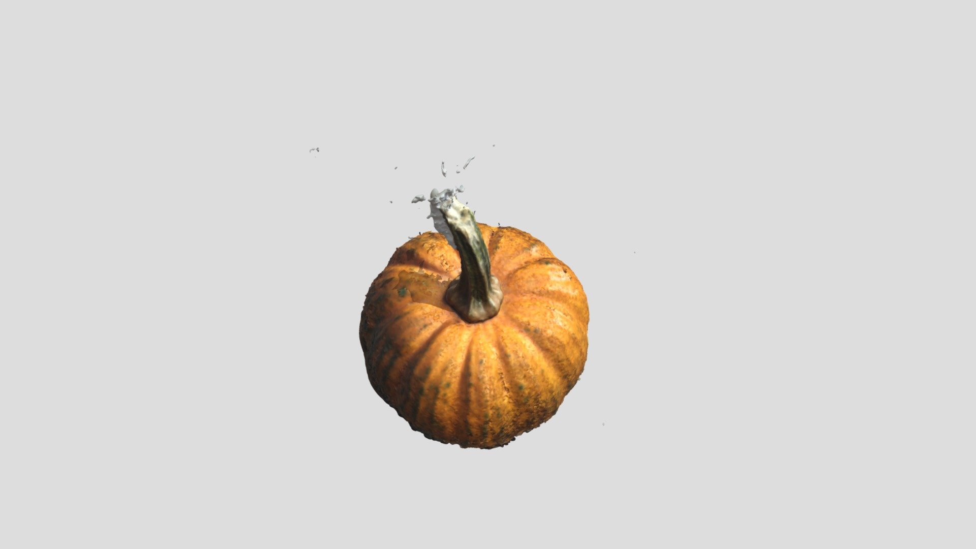 pumpkin