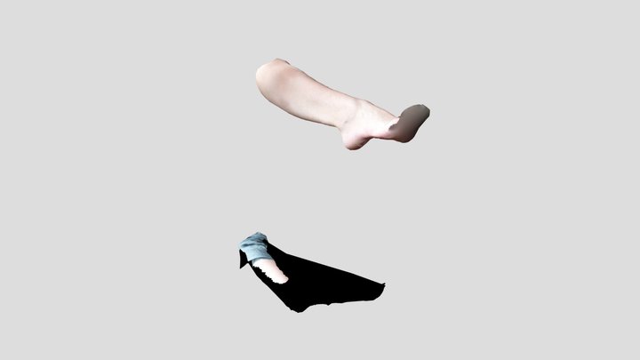 pied jambe debout 3D Model