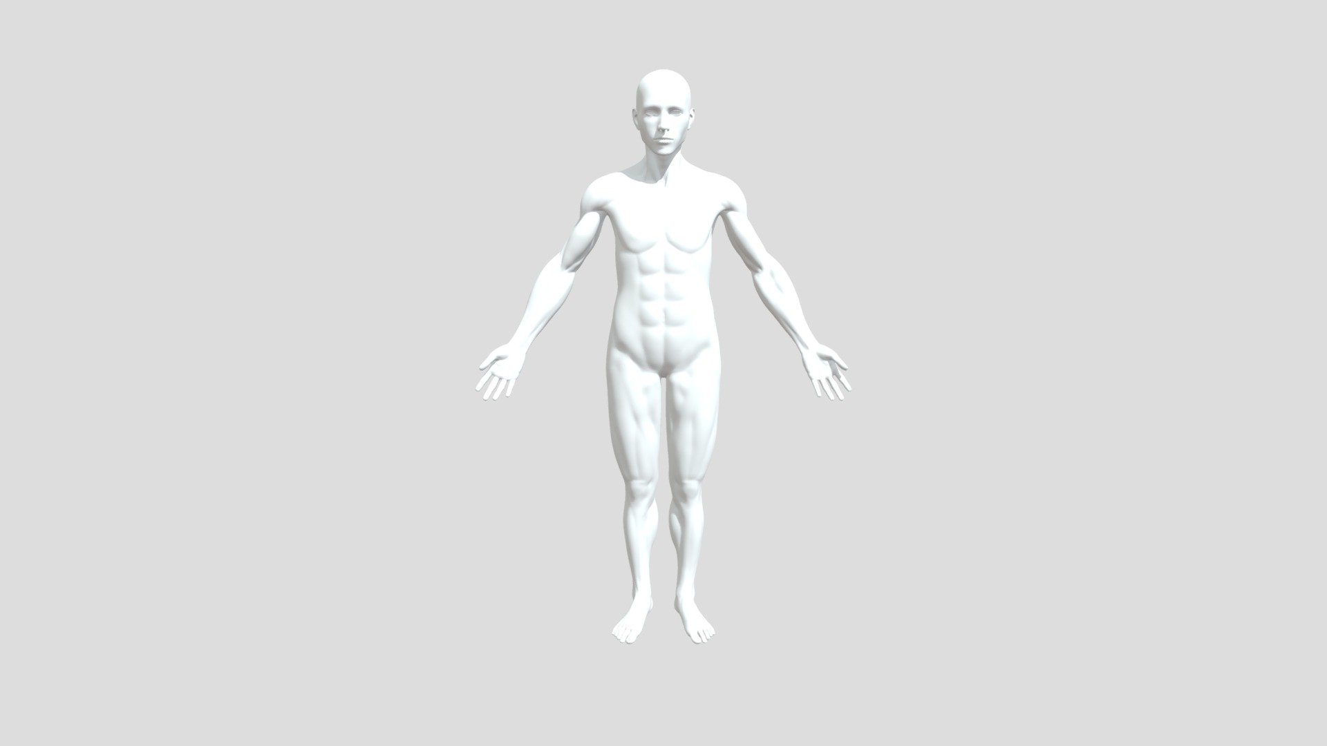 Human Anatomy