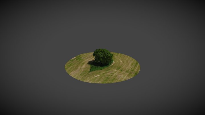 Lonely Tree - DJI Mini 2 SE Photogrammetry 3D Model