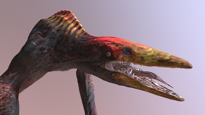 Skull Crawler 3D Model