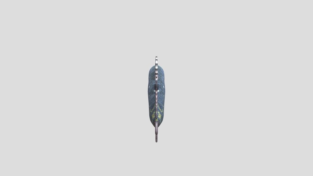 Low Polly Coelacant Fish