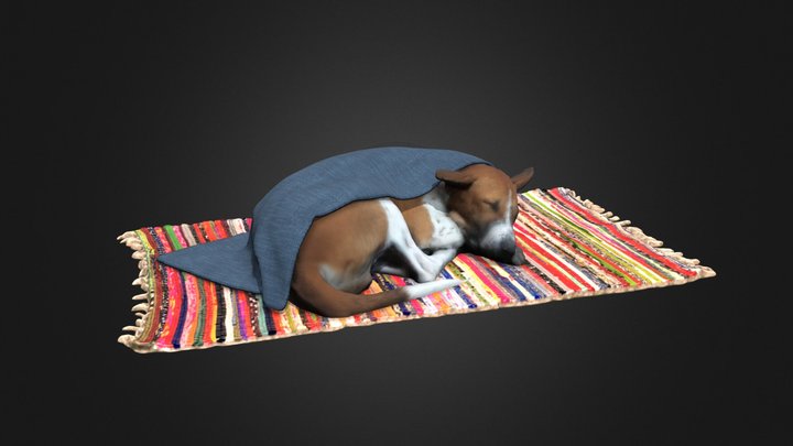 Dog sleeping on a mat photoscan 3D Model