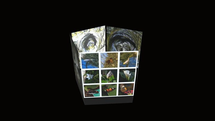 Gallery 3D Model