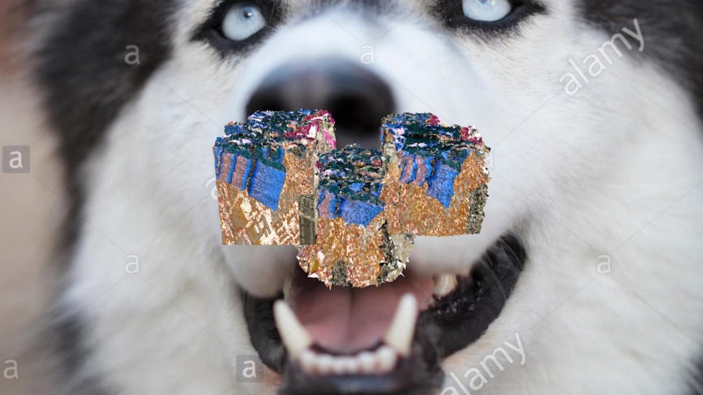 Traumatest2