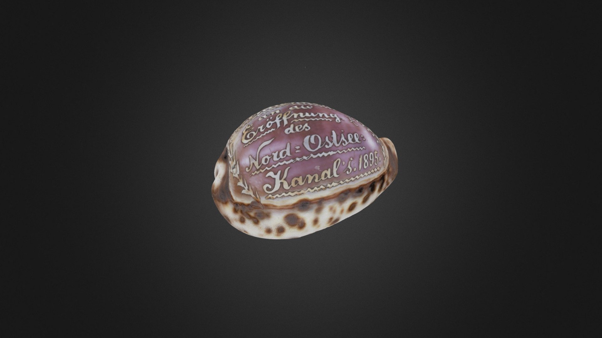 Souvenir-Muschel, 1895 | VK4681