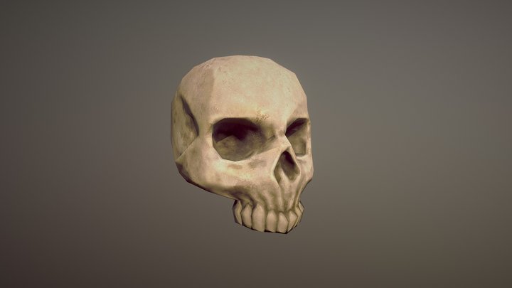 Skull 3D Model