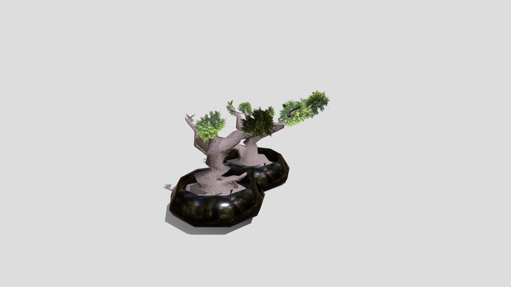 Stylized Bonsai Tree