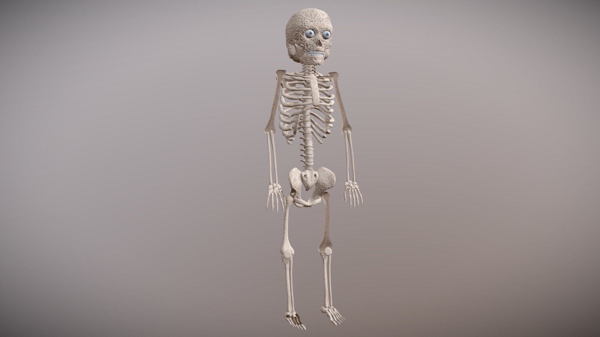 Skeleton Character - 3D model by marigar (@marigarcia28) [c2fc95a ...