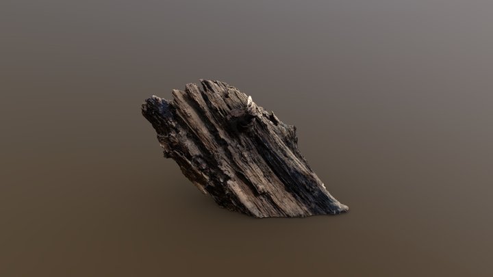 Broken Log - Photogrammetry Scan – Modèle 3D gratuit STL