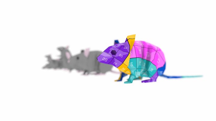 Mouse - Free Demo