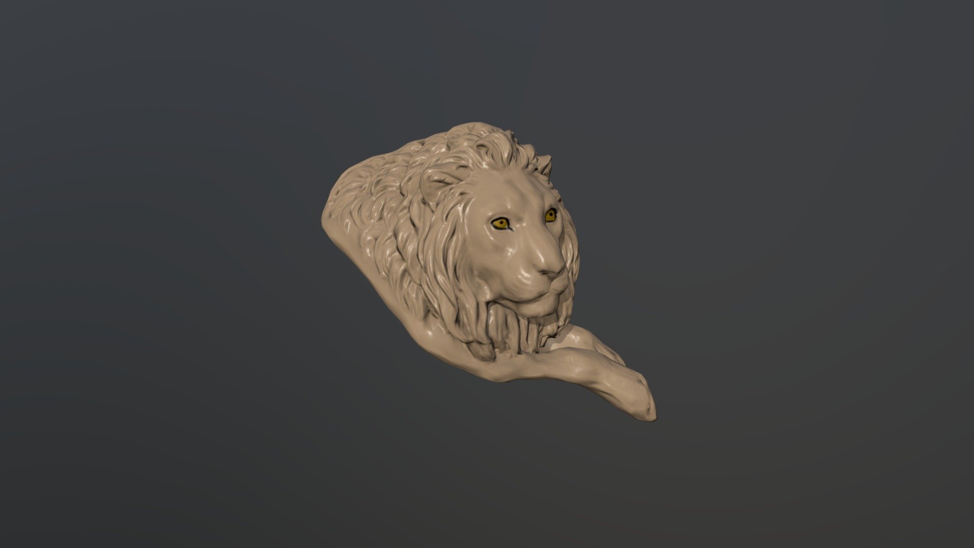 Lion Head Beginer