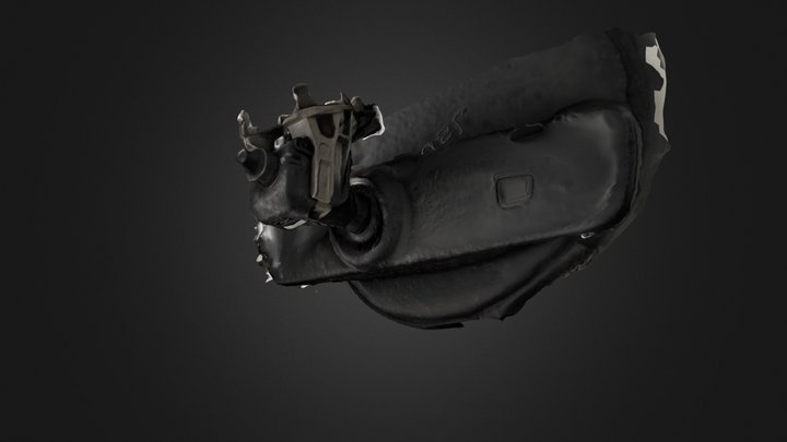 Reality_capture 3D Model
