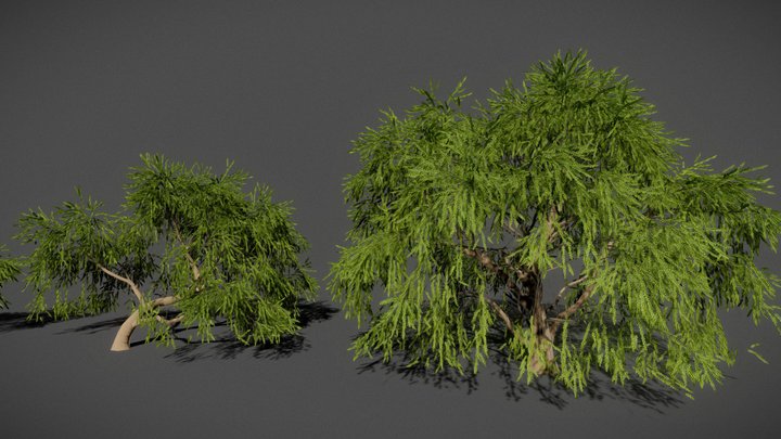Rigged & Animated Weeping Willows