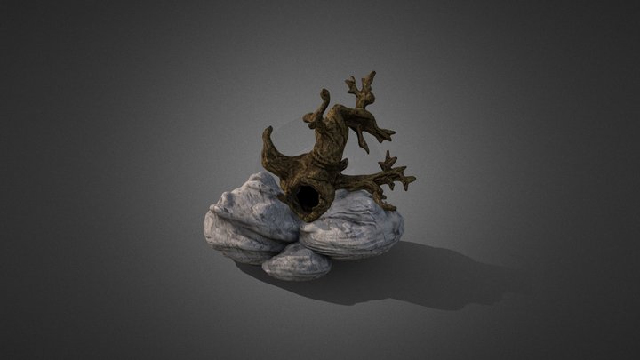 TREE ON THE ROCKS 3D Model