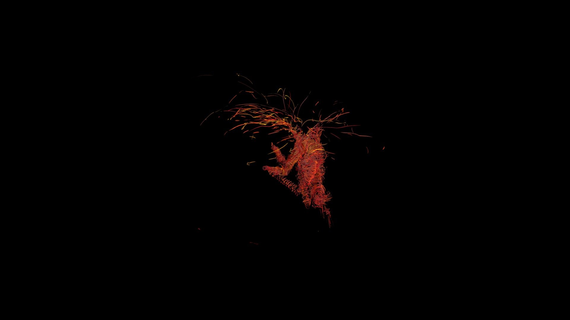 wipproject1