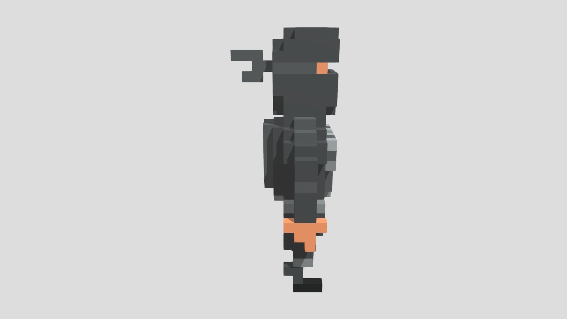Ninja