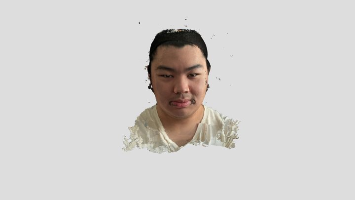 self scan lol 3D Model