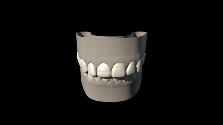 torus test 3D Model