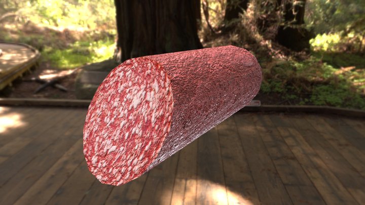Salami sausage 3D Model