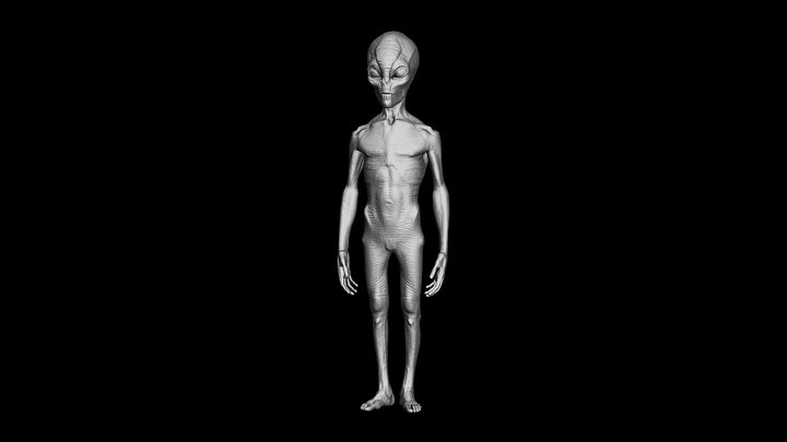 Grey Alien - Height 1.30 m 3D Model