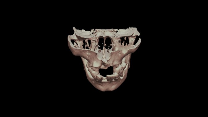 DEVANG SHAH 3D Model
