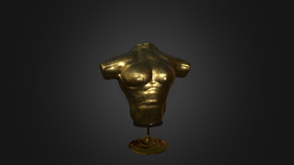 Bronze Torso