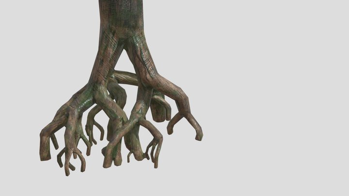 mangrove tree roots 3D Model