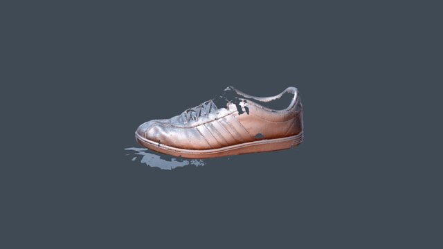 Shoe Dec 3D Model